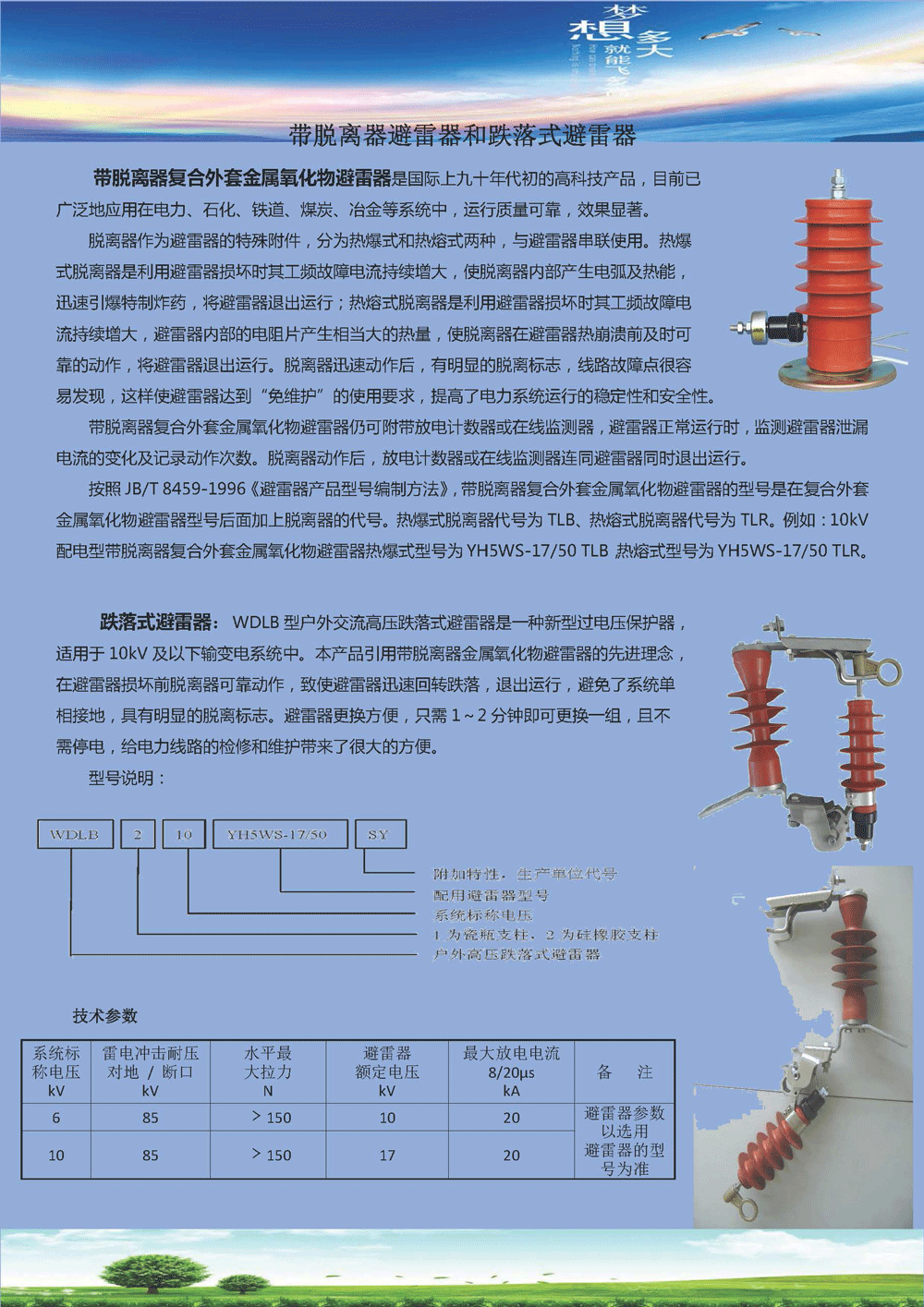 带脱离器避雷器和跌落式避雷器01.gif